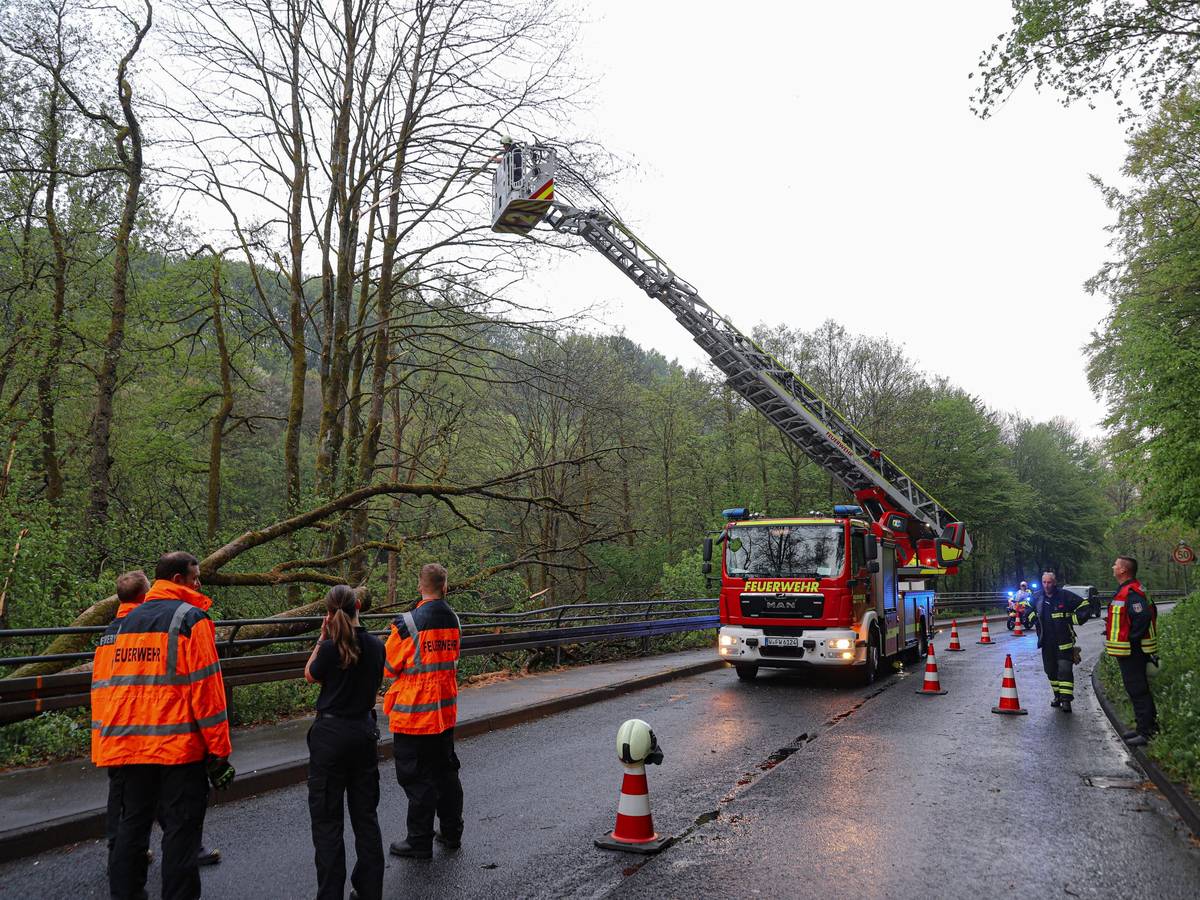 Feuerwehr entfernt umgestürzten Baum
